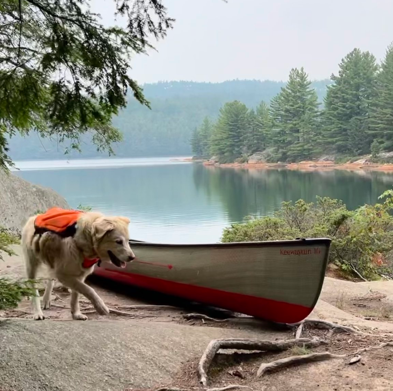 Paddlesports