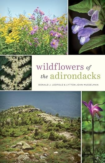 Wildflowers of the Adirondacks Blue Line Book Exchange