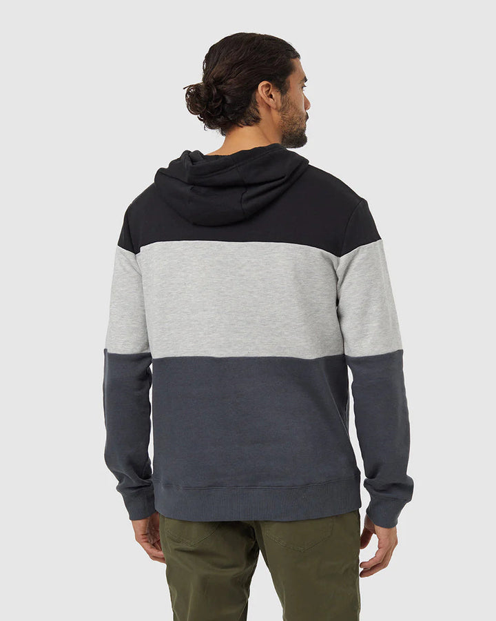 Tentree Men's TreeFleece Blocked Reynard Hoodie Tentree