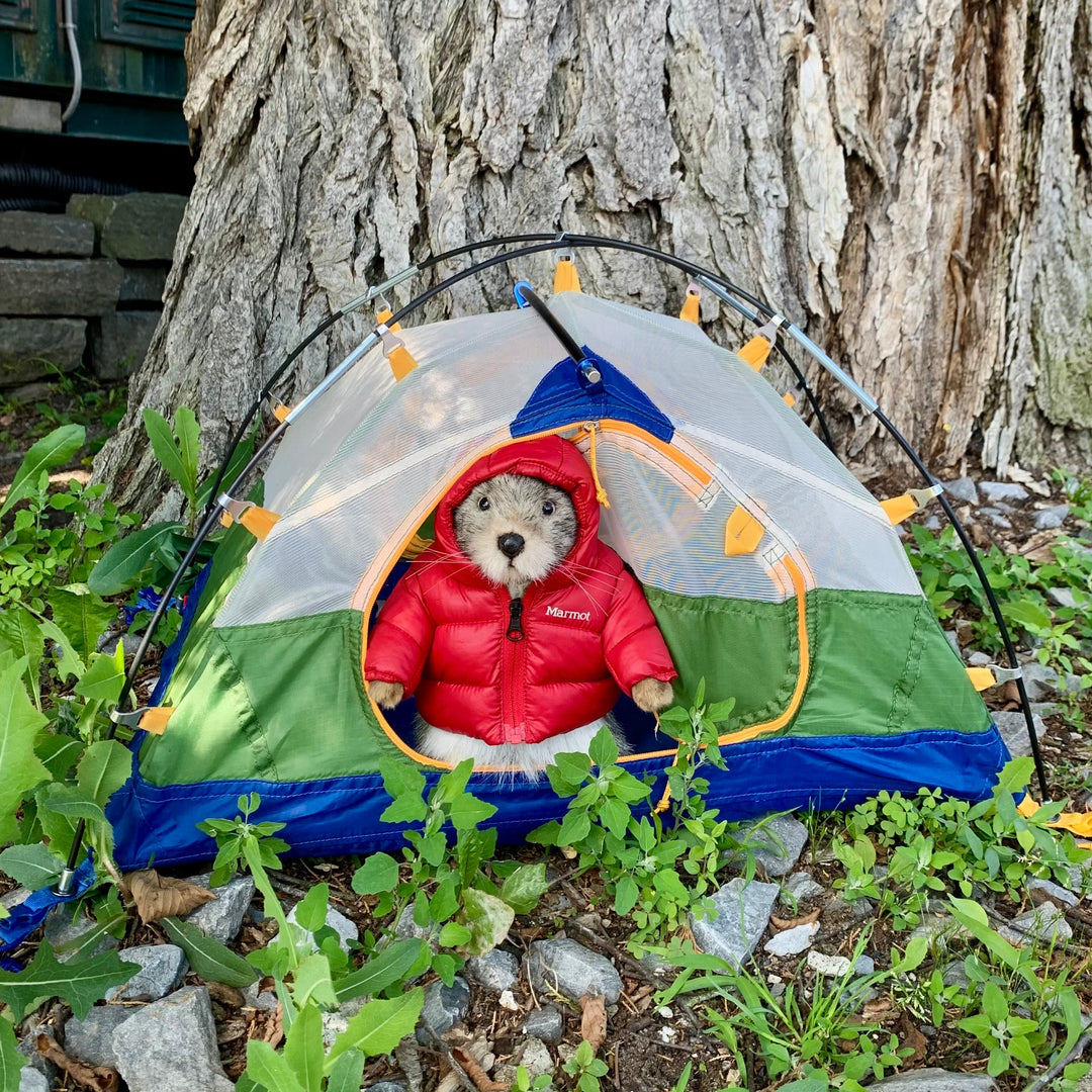 NEW ARRIVALS: Marmot Gear!