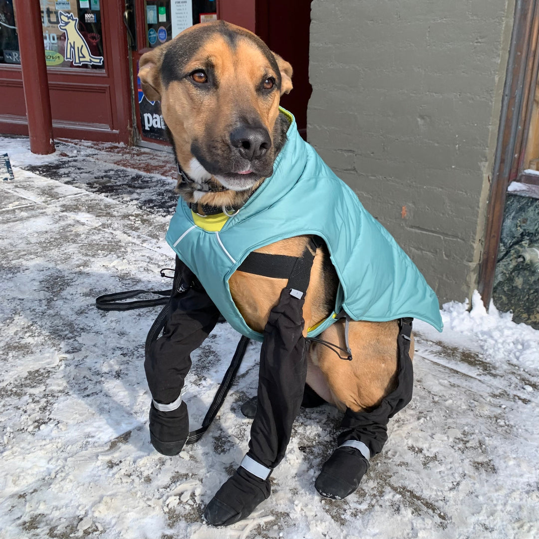 NEW PRODUCT: Canada Pooch Suspender Boots! Saratoga Outdoors