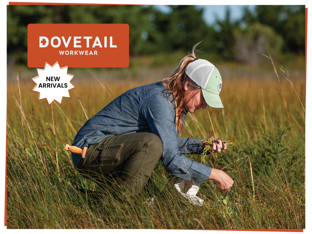 Look and Feel Good With Summer Styles From Dovetail Workwear!