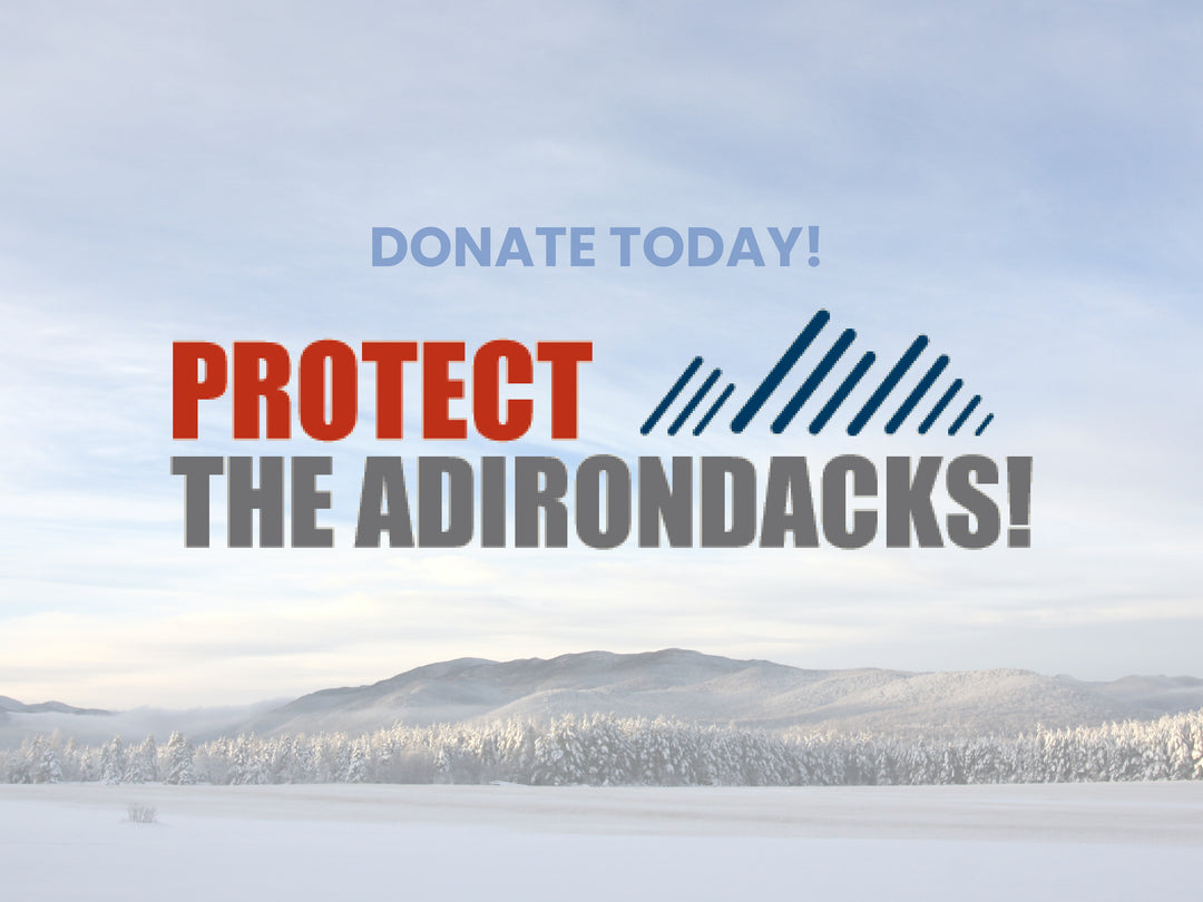 Consider Donating to Protect the Adirondacks this Holiday Season!