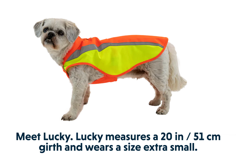 Ruffwear Lumenglow Hi-Vis Jacket Ruffwear