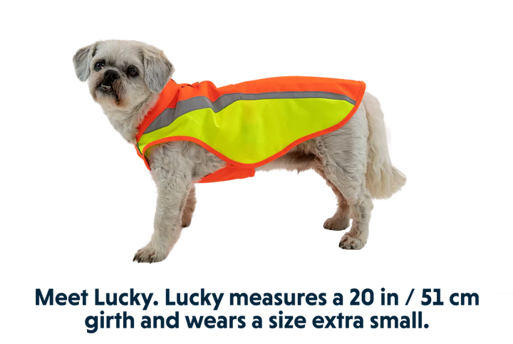 Ruffwear Lumenglow Hi-Vis Jacket Ruffwear