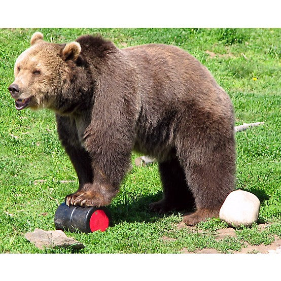 NO-FED-BEAR Bear Proof Food Canister Mini GrizGuard
