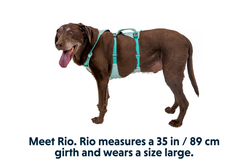 Ruffwear Flagline Harness Ruffwear