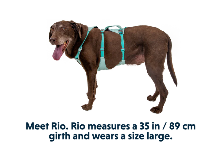 Ruffwear Flagline Harness Ruffwear