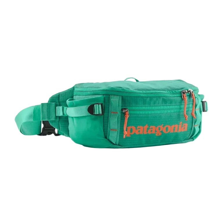 Patagonia Black Hole Waist Pack 5L Patagonia