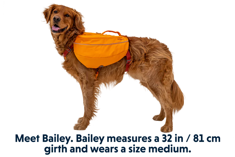 Ruffwear Approach Dog Backpack Ruffwear