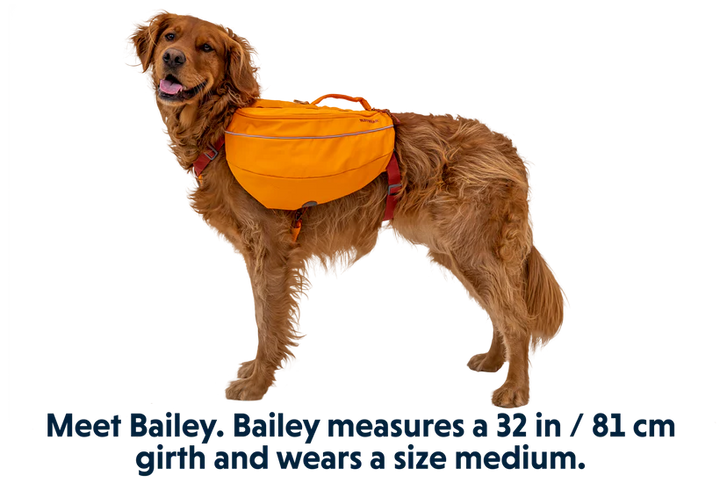 Ruffwear Approach Dog Backpack Ruffwear
