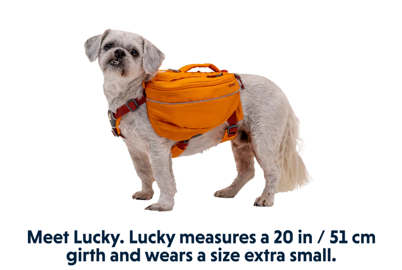 Ruffwear Approach Dog Backpack Ruffwear