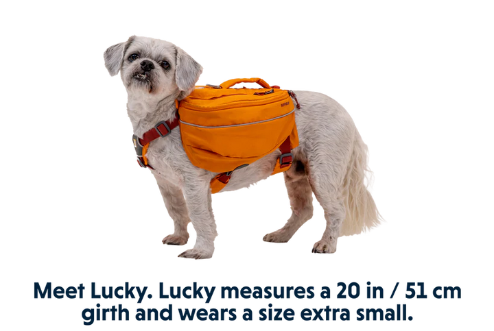 Ruffwear Approach Dog Backpack Ruffwear