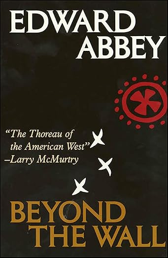 Beyond the Wall: Essays from the Outside Ingram Books