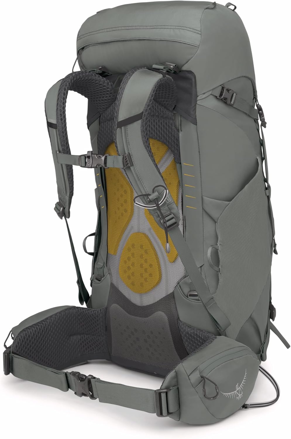 Osprey Kyte 38 - Women's Backpacking Pack Osprey Packs