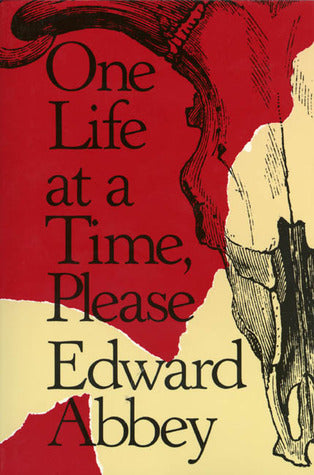 One Life at a Time, Please Ingram Books