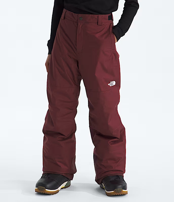 The North Face Boys' Freedom Insulated Pant The North Face