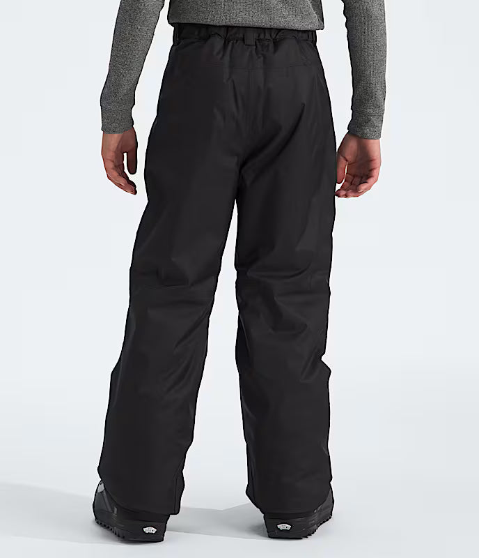 The North Face Boys' Freedom Insulated Pant The North Face