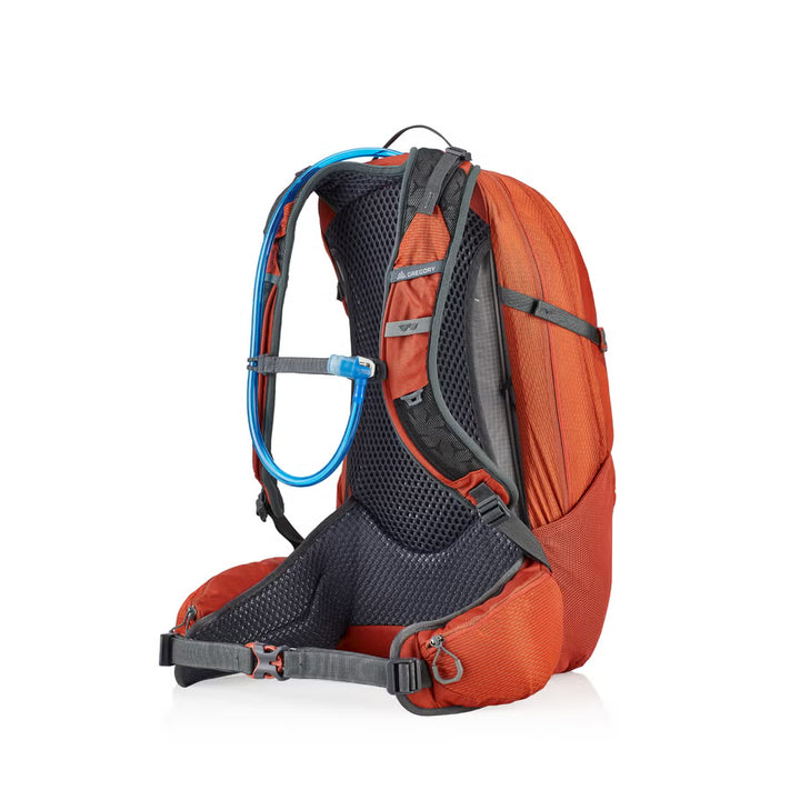 Gregory (Men's Fit) Citro 24 H2O Daypack Gregory