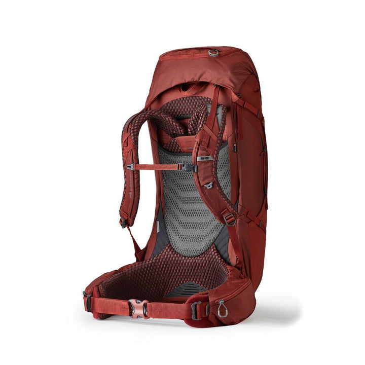 Gregory Men's Baltoro 65 Gregory