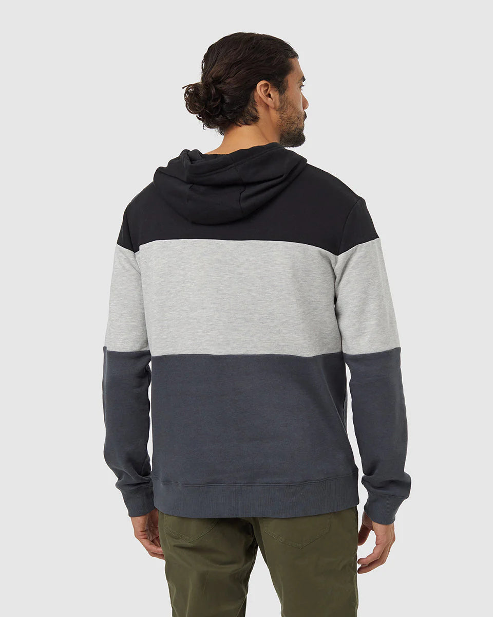 Tentree Men's TreeFleece Blocked Reynard Hoodie