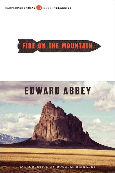 Fire on the Mountain Ingram Books
