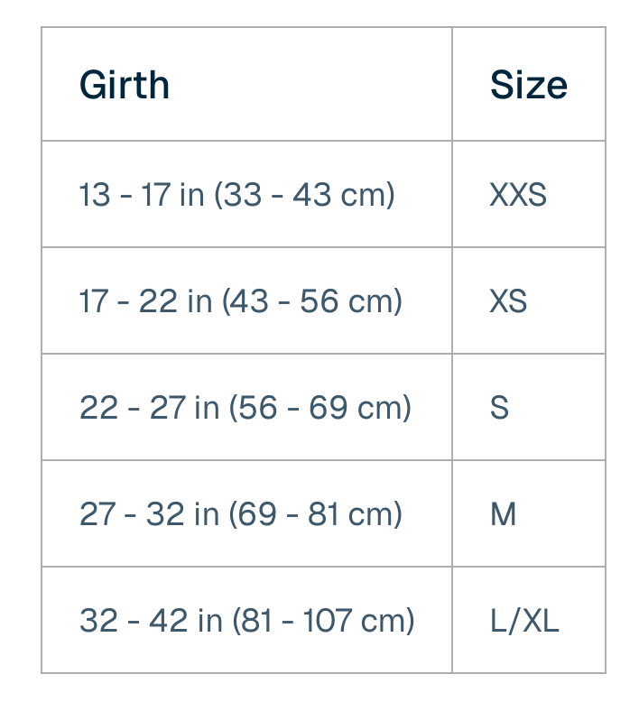 Ruffwear Web Master Harness V2 Ruffwear