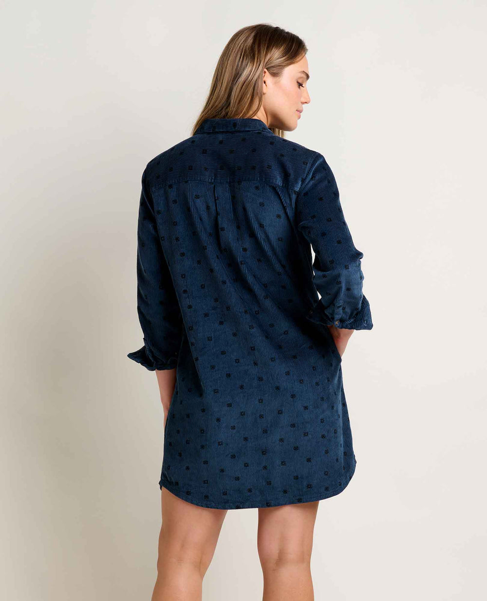Ws Cascadia Popover LS Dress Toad & CO