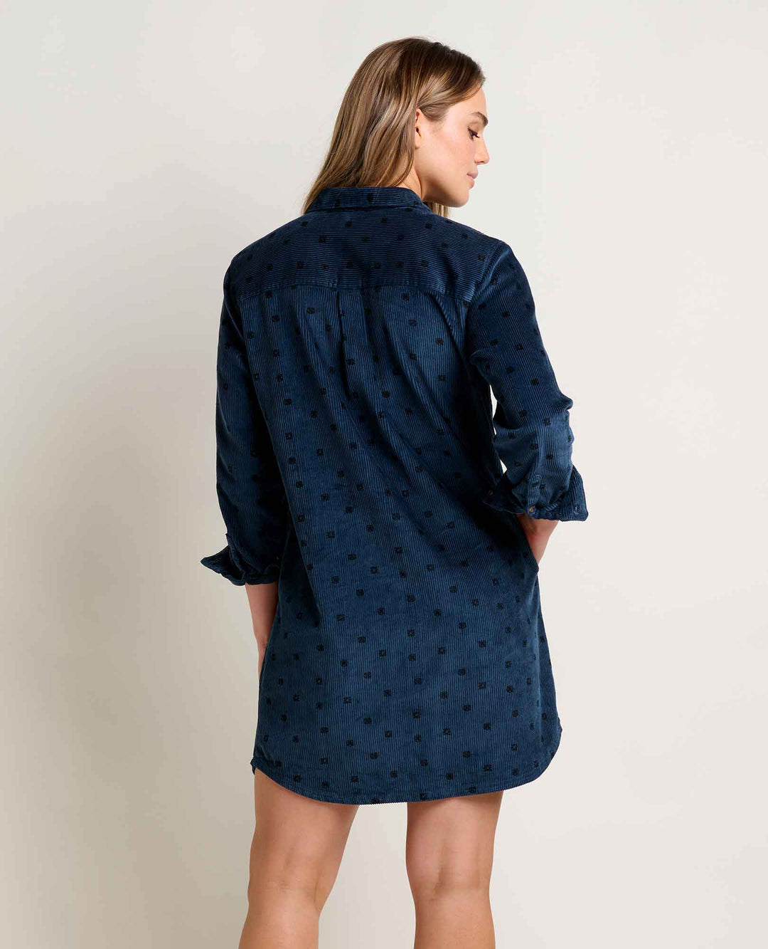 Ws Cascadia Popover LS Dress Toad & CO