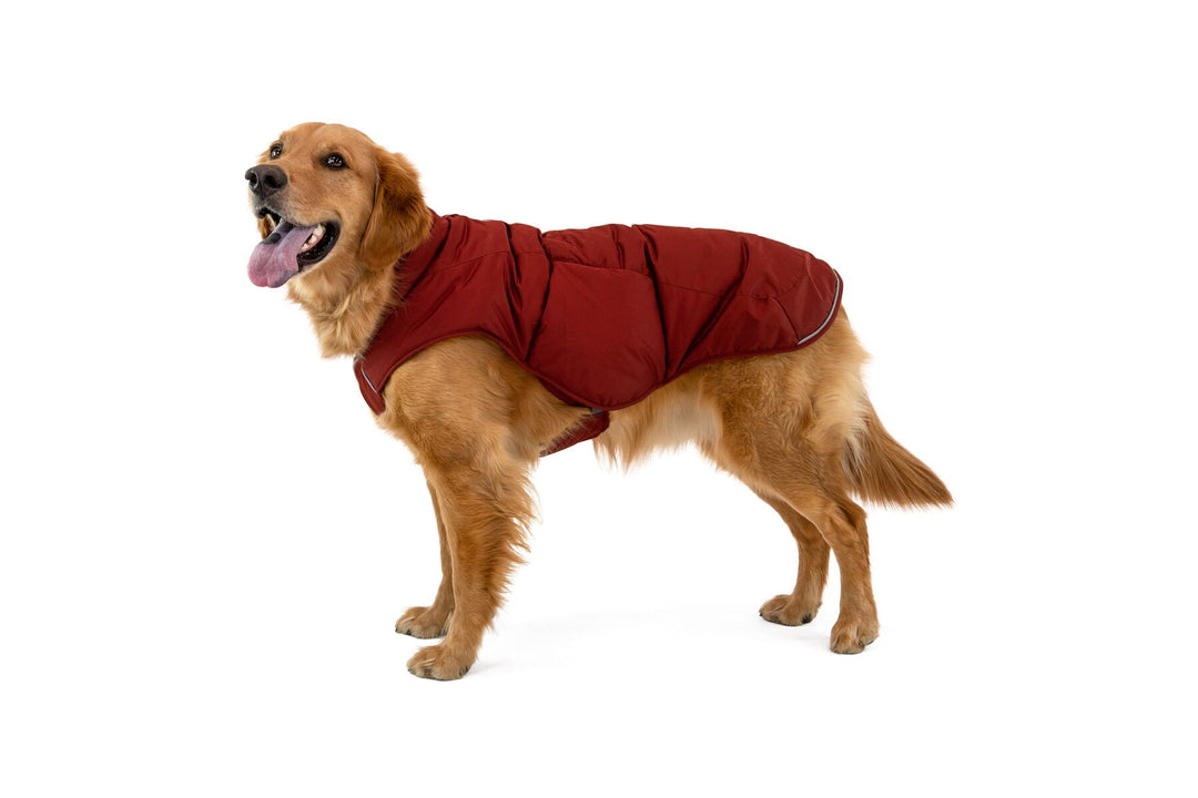 Ruffwear Quinzee Jacket Ruffwear