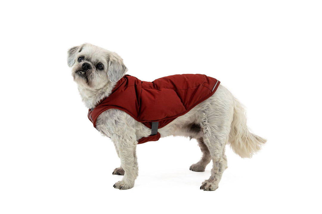 Ruffwear Quinzee Jacket Ruffwear